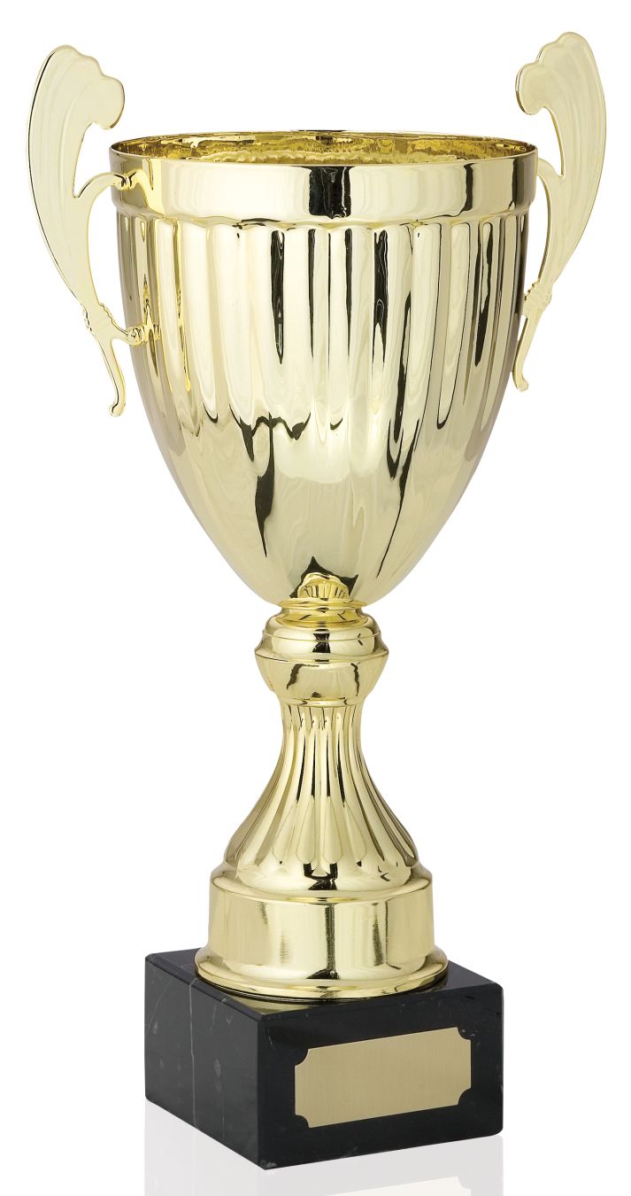 Championship Gold Metal Cup