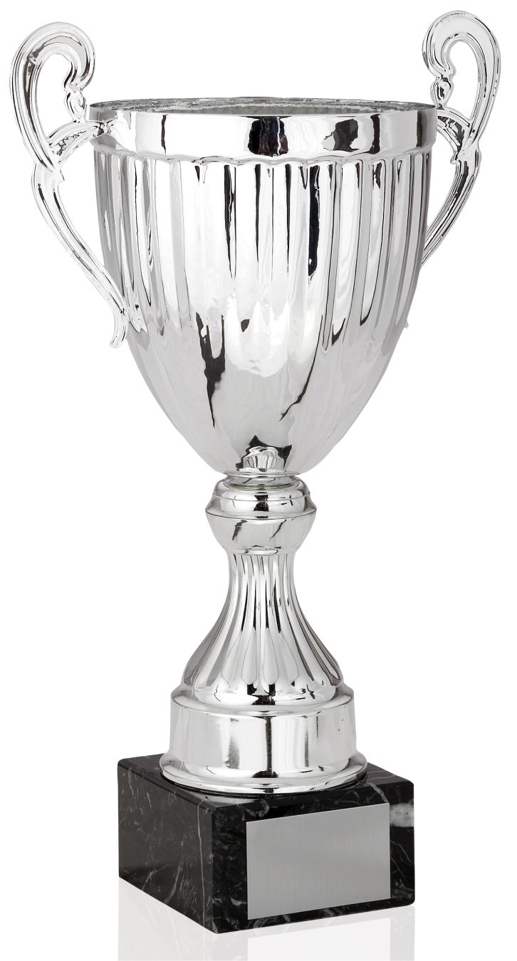 Championship Silver Metal Cup Trophy
