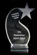 Shooting Star Acrylic Trophy Award
