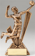 Male Volleyball Checkmate Bronze Resin Trophy Award - 6-1/2''