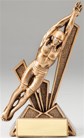 Swimming Male Bronze Checkmate Resin Trophy Award - 6 1/2''