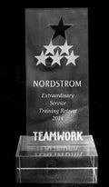 Teamwork Star Acrylic Trophy Award