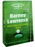 Full Color Crystal Wedge Trophy Award (THREE SIZES)