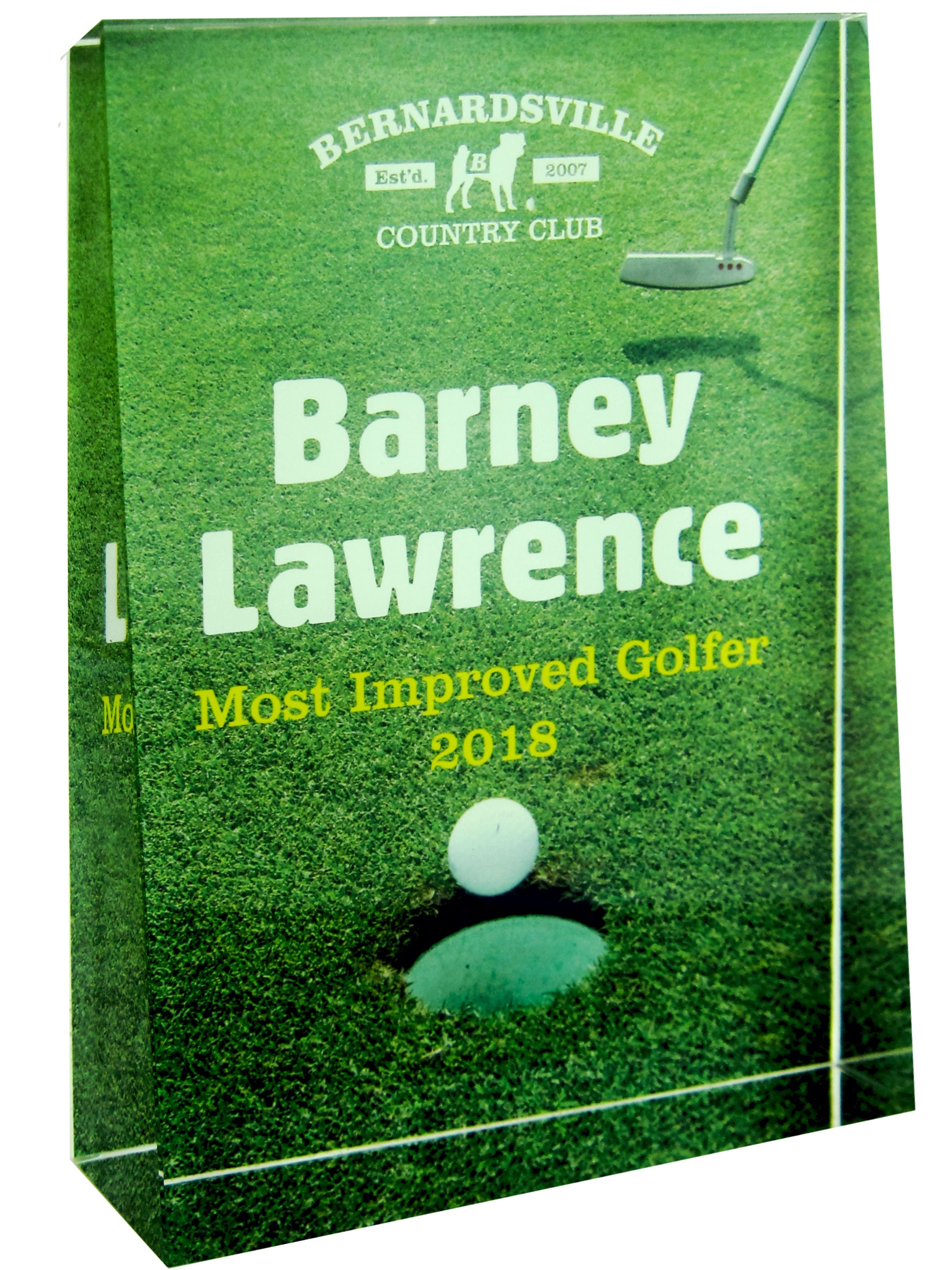 Full Color Crystal Wedge Trophy Award (THREE SIZES)