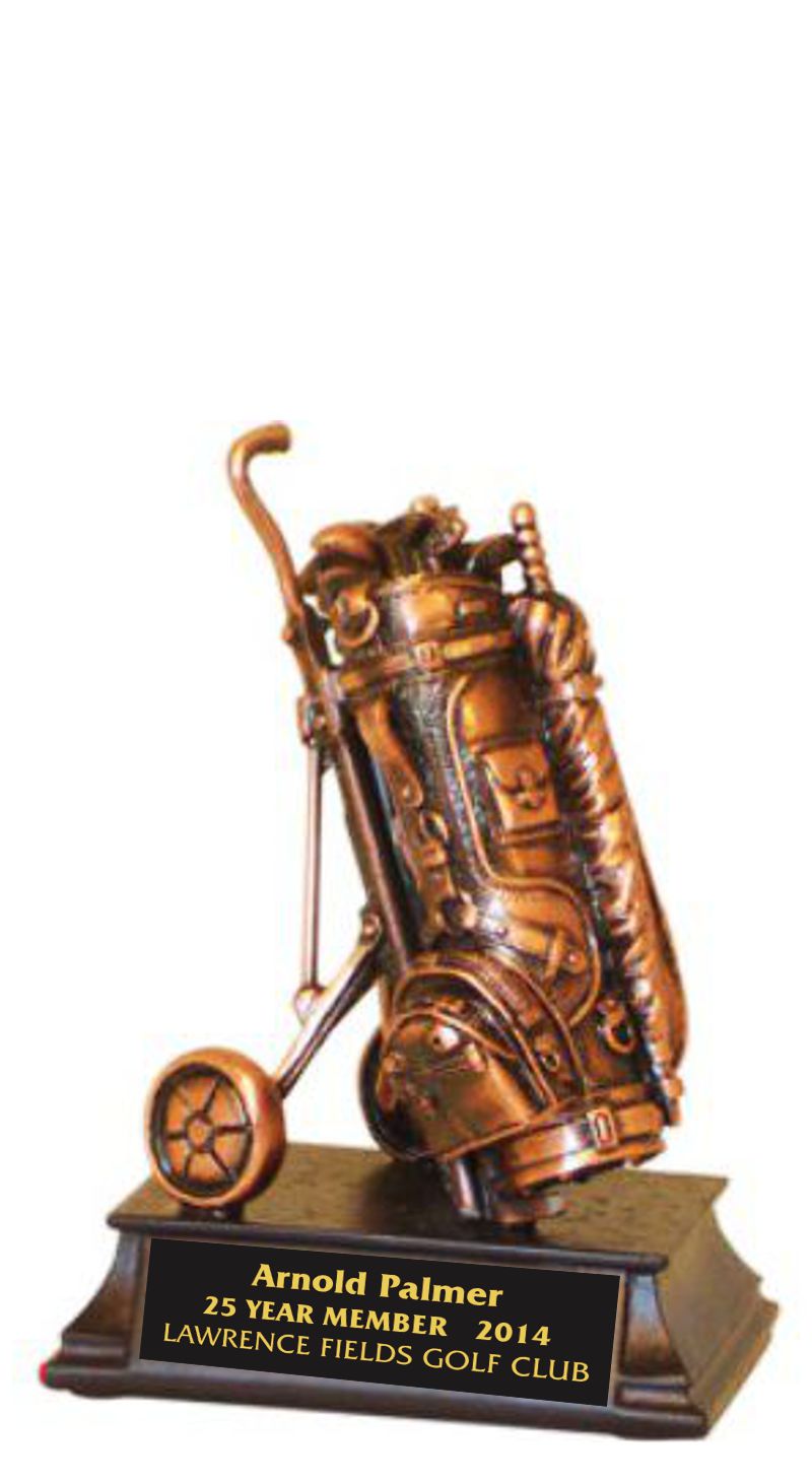 Bronze Golf Bag Trophy Award