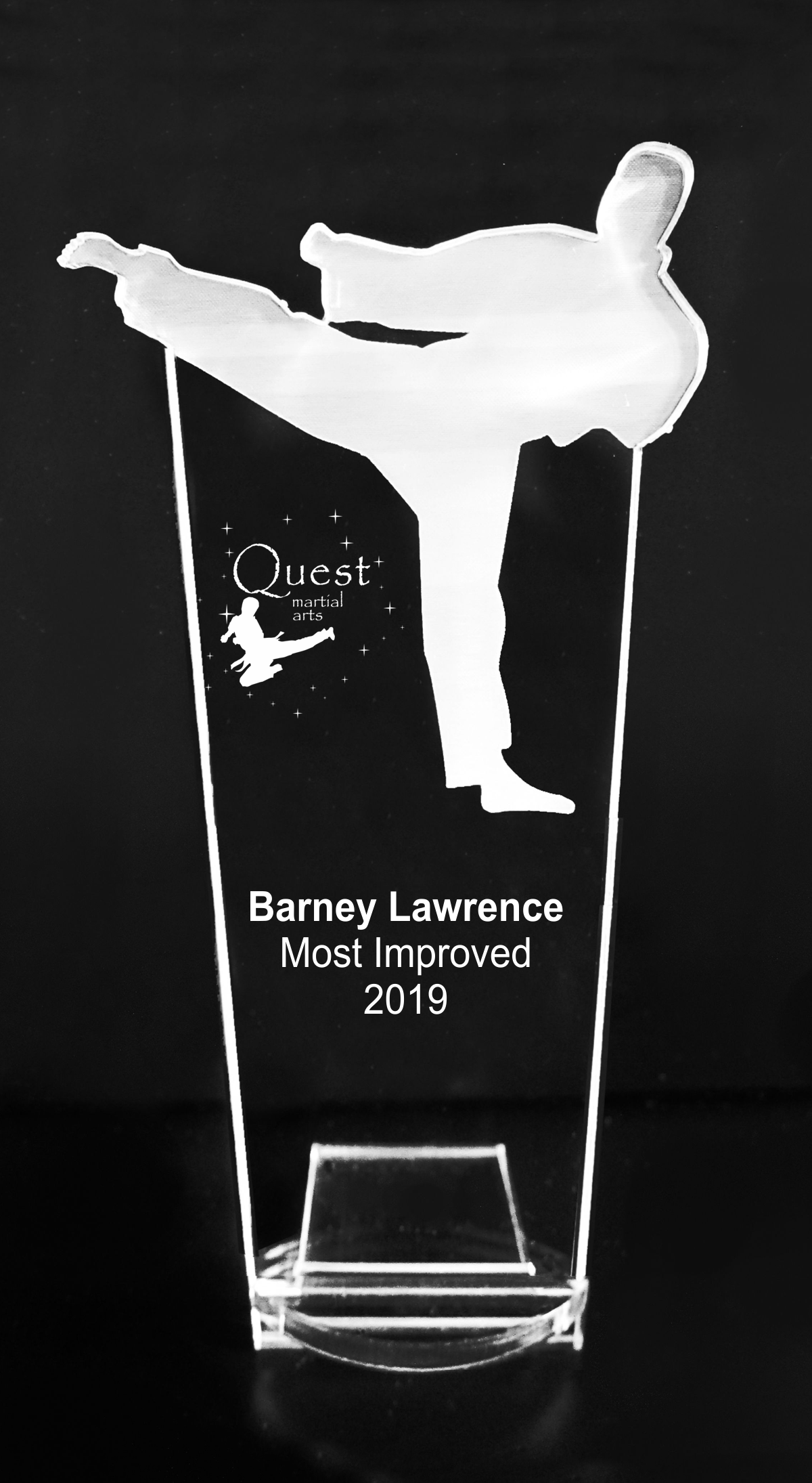 VALUE LINE Martial Arts Acrylic Trophy Award