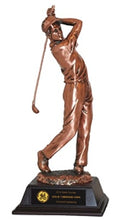 Bronze Backswing Male Golfer Trophy Award