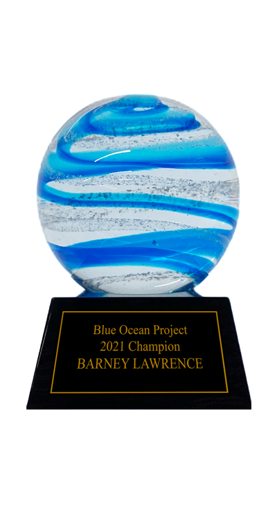 Beach Waves Solid Crystal Globe