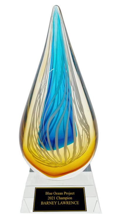 Sahara Crystal Drop Trophy Award