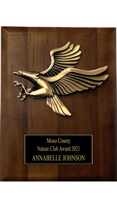 Attacking Eagle Brass & Walnut Plaque