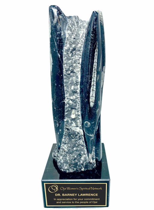 Black Orthoceras Fossil Trophy Award
