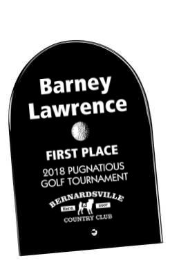 Black Glass Dome Trophy Award