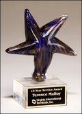 Color Crystal Star Trophy Award