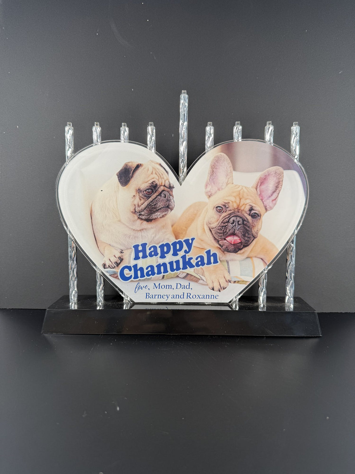Chanukah Photo Menorah