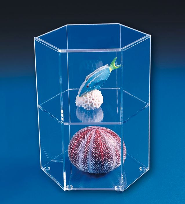 Custom Acrylic Showcase Box