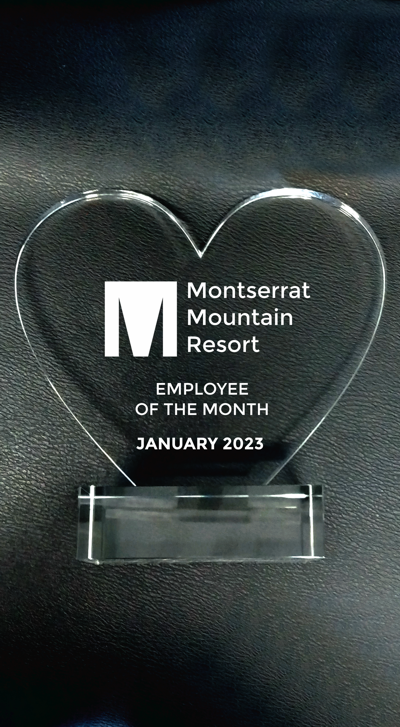 Acrylic Double Diamond Engraved or Full-Color Trophy