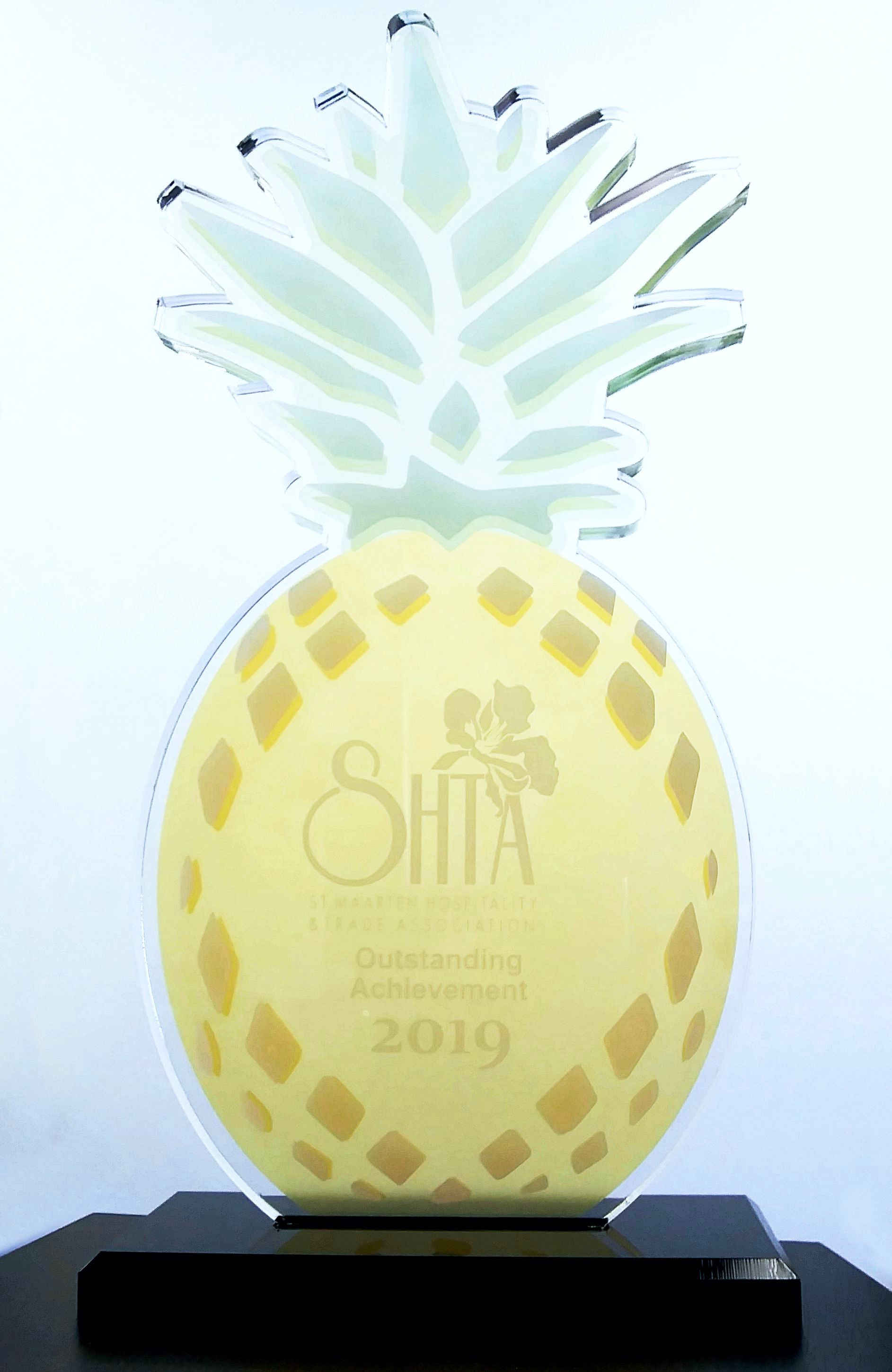Custom Pineapple Hospitality Trophy