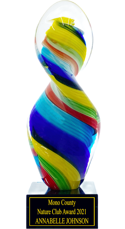 Striped Twist Art Glass Trophy Award